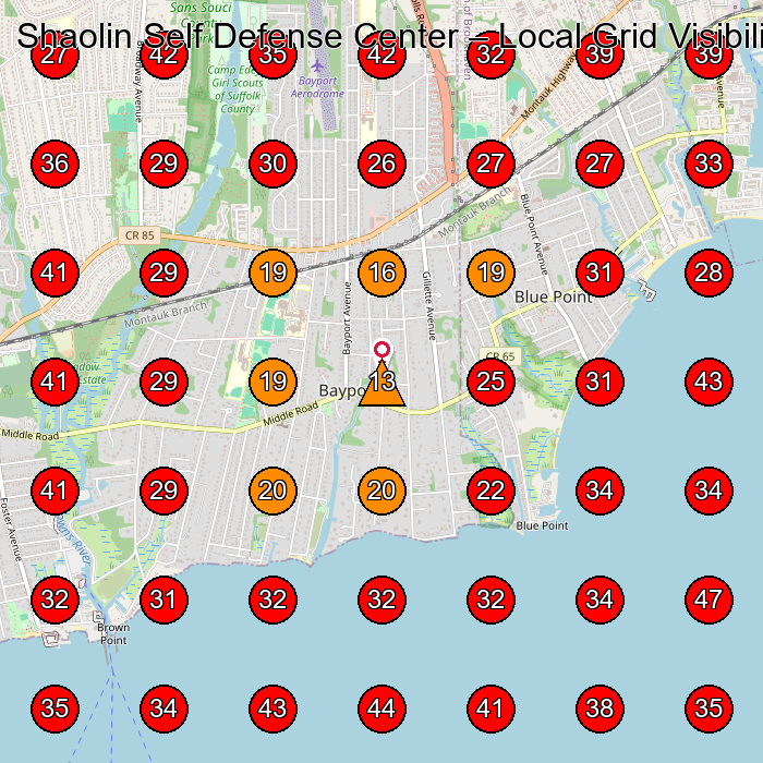 Shaolin Self Defense Center GeoGrid visibility map for Martial Arts School in Sayville